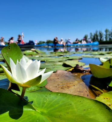 70b134f3-e4e3-4873-bafb-5451dc9d8413